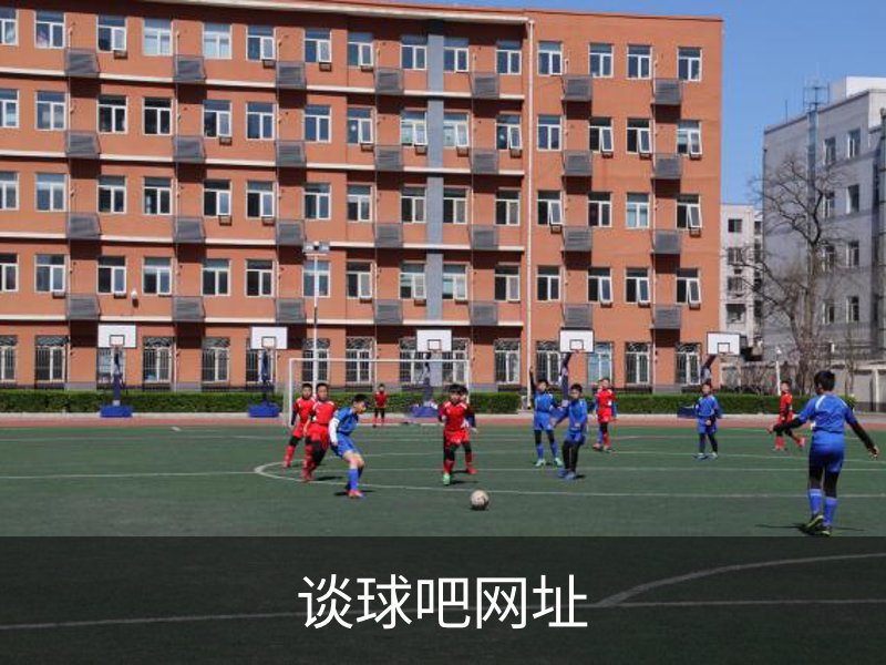 关于谈球吧网址